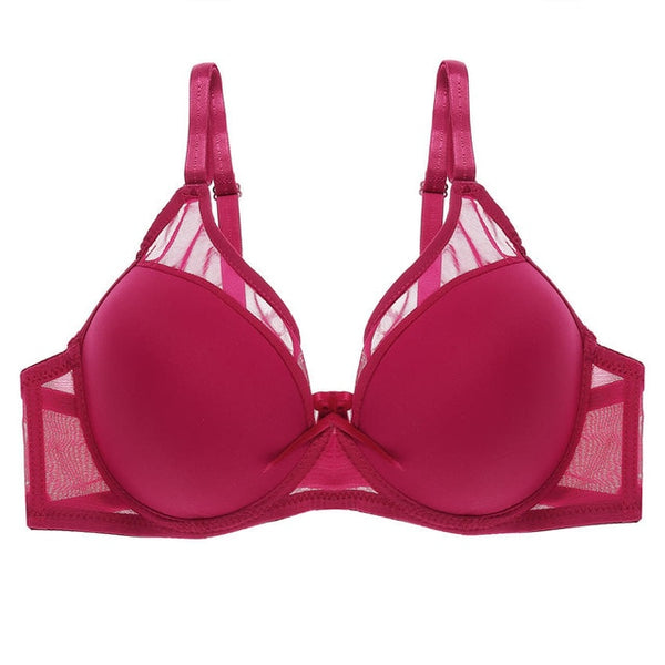 Lace Front Beauty Push Up Bra Women's Underwear Sexy Female Brassiere Lingerie Bralette for Women Lace Floral Back Closure Bras